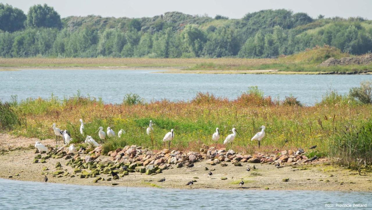 Molecaten Park Waterdunen Breskens Kültér fotó